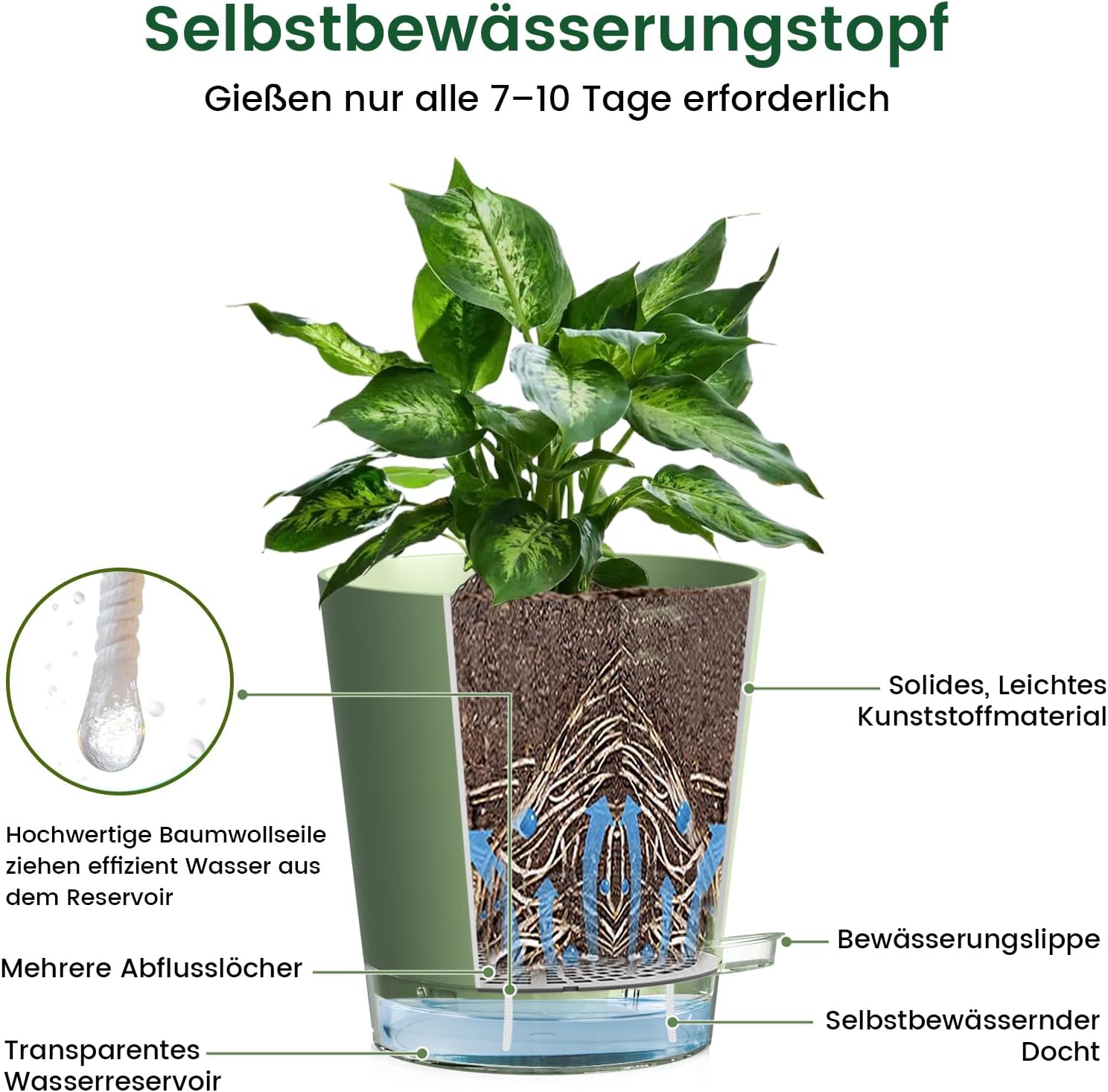WSMKSZ 7er Set Selbstbewässerungstopf, 20/17,6/16,3/15/13,8/12,5/10,2 cm Kunststoff Blumentöpfe mit Abflusslöchern und Transparentem Wasserreservoir, Sichtbarer Wasserstand, mit Baumwolldocht, Grün