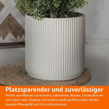 Amazon Basics 8" Round Ribbed Ceramic Planter - White